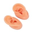 thumbnail image 4 of Ear Model, Long Lasting  Ear Display Model Silicone Waterproof  For Otolaryngology Pharmacy, 4 of 8