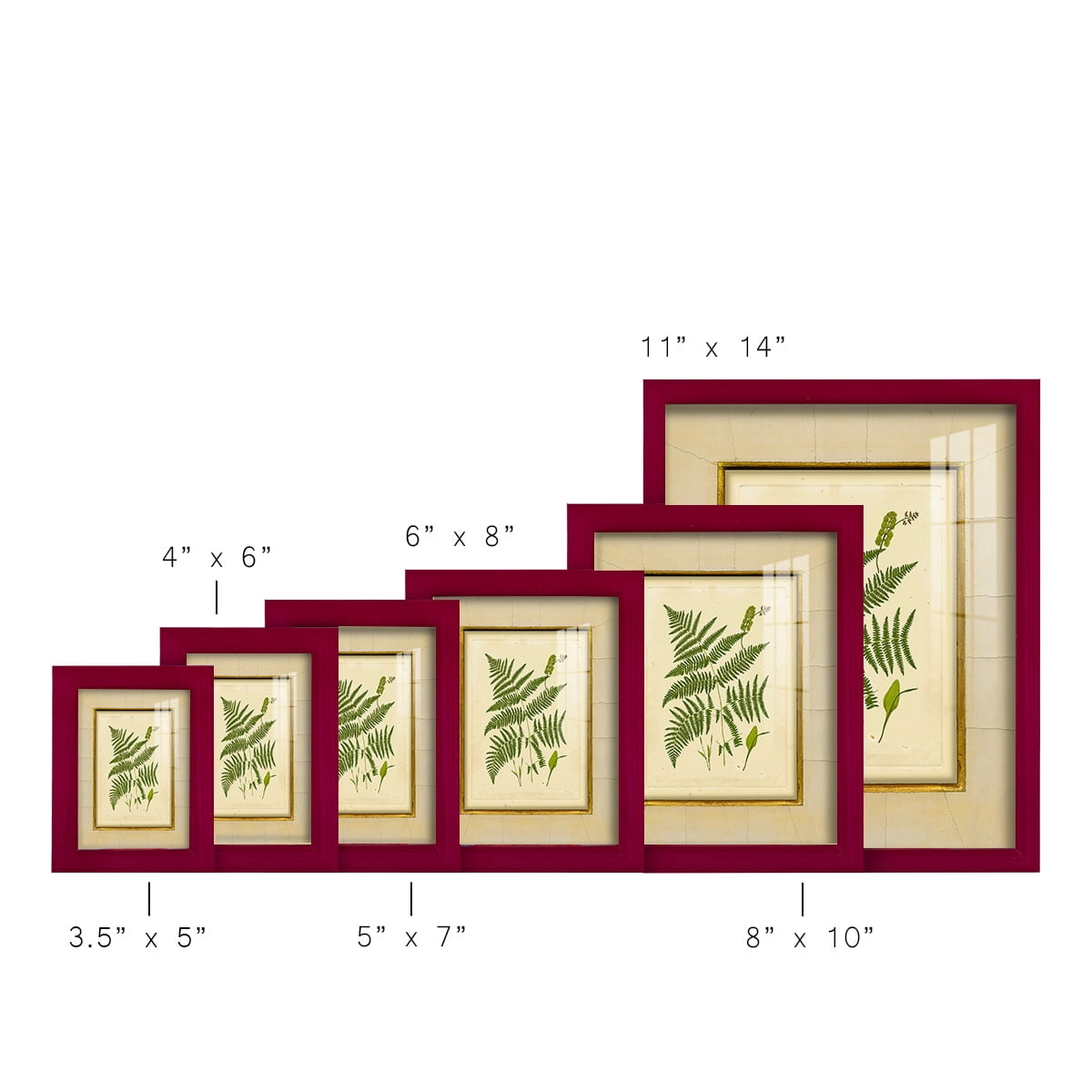 Fern with Crackle Mat (H) IV - Framed Print w/glass - Cherry Red