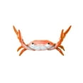 thumbnail image 2 of Desk Crab Pen Holder, Funny Weightlifting Crabs Shaped Spoon Holders, Mini Tiny Animal Pencil Rest, Realistic Creative Penholders Storage Accessories, Cute Rack Ornaments, Bracket Gift - Red, 2 of 6
