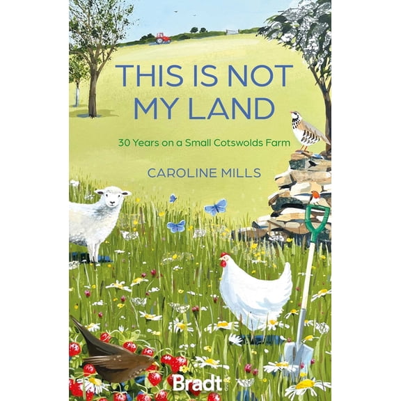 This Is Not My Land: 30 Years on a Small Cotswolds Farm, (Paperback)