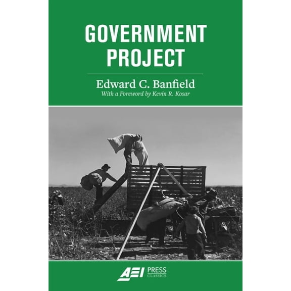 Government Project, (Paperback)