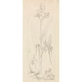 thumbnail image 2 of Sir John Everett Millais 13x24 Gold Ornate Framed and Double Matted Museum Art Print Titled - Stained Glass Study, Water Plant with Grasshoper, Fish and Newt, 2 of 4