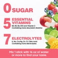 thumbnail image 6 of Venture Pal Sugar Free Electrolyte Powder Packets - Daily Hydration Packets | Electrolytes Drink Mix with 5 Vitamins & 7 Electrolytes | Keto Friendly | Non-GMO | Certified Vegan | 16 Sticks, 6 of 6