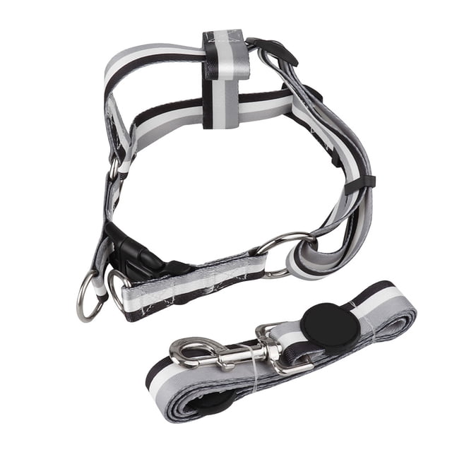 Conjunto de arnés y correa de nailon resistente para perros para aventuras al aire libre, diseño cómodo para el pecho y la espalda, talla M