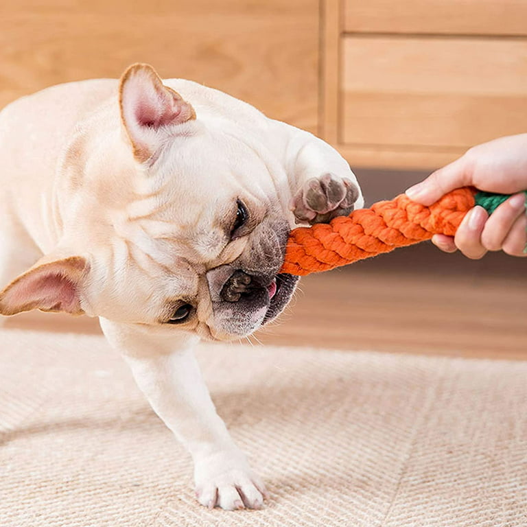 Carrot Tug Rope Interactive Dog Toy
