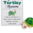 thumbnail image 3 of Divertidos Positivos Con Tarjeta Regalos Creativos Cumpleaños para Amigos (tortuga), 3 of 9