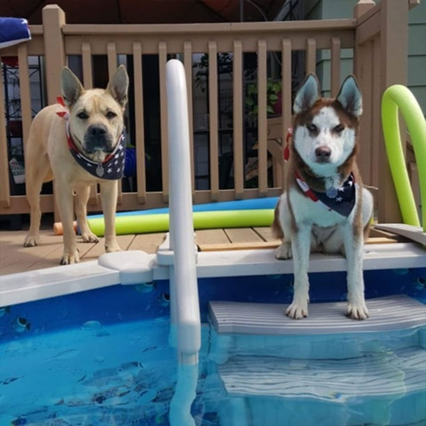 Above ground outlet pool pet ramp