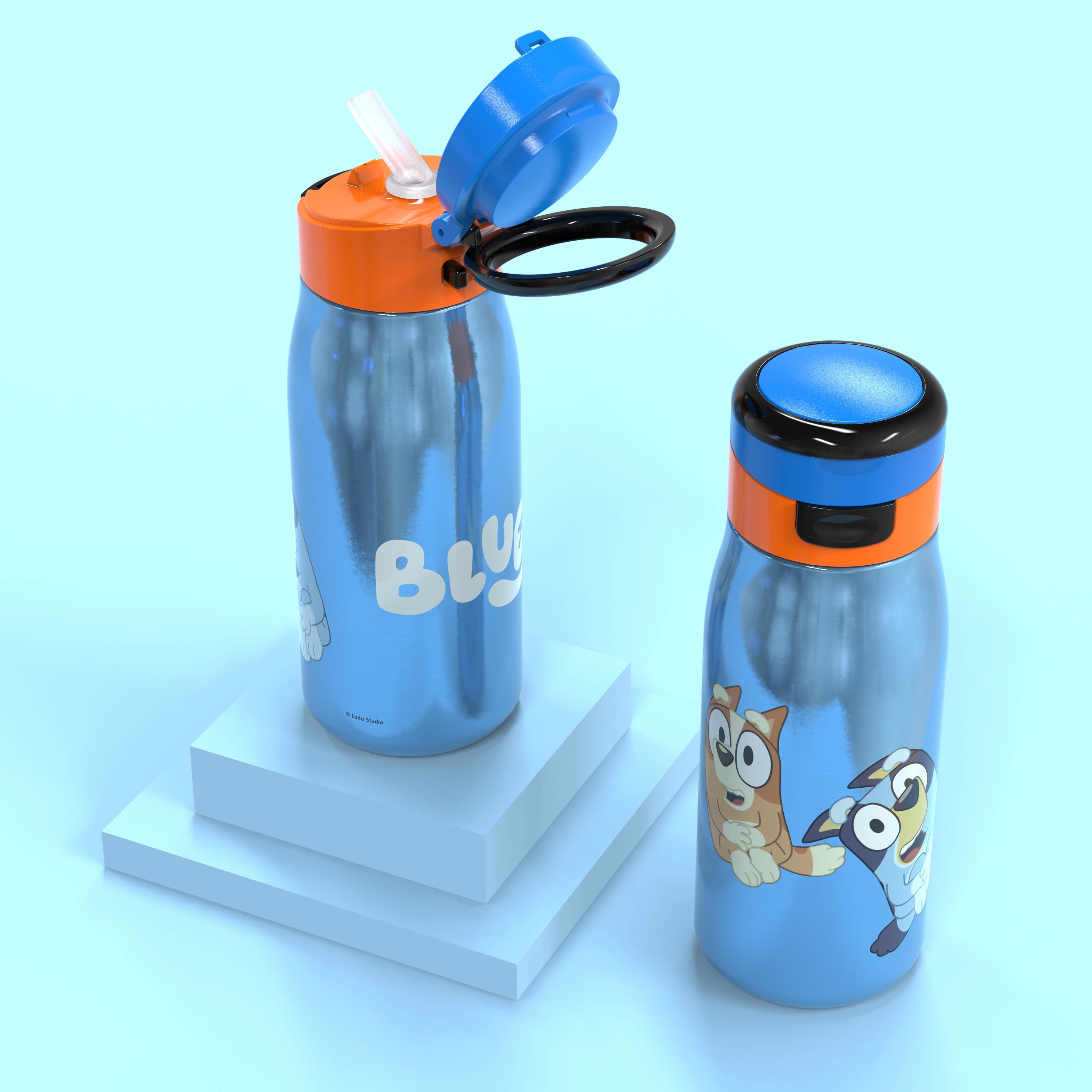 Zak Designs Bluey 13.5 ounce Vacuum Insulated Stainless Steel Water Bottle, Bluey and Friends