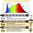 thumbnail image 3 of LED Grow Light, 6000K Full Spectrum 4 Head Clip Plant Growing Lamp with White Red LEDs Plant Light for Indoor Plants Veg and Flower, 10 Dimmable Levels, Auto On Off Timing 3/9/12H, 3 of 7