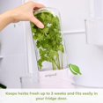 thumbnail image 3 of Prepara Herb Savor Eco Preservador de hierbas, verde, 3 of 4