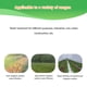 thumbnail image 3 of Válvula de Escape Para Riego Agrícola, Herramienta Eficiente de Riego por Goteo para Paisajismo Agrícola, 3 of 7
