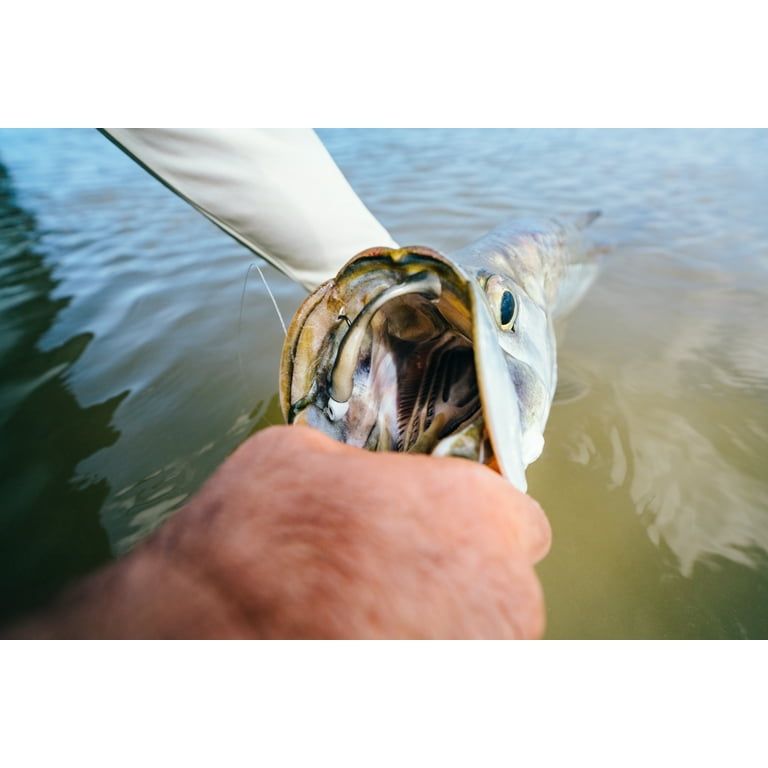 Gulp! Saltwater Paddleshad