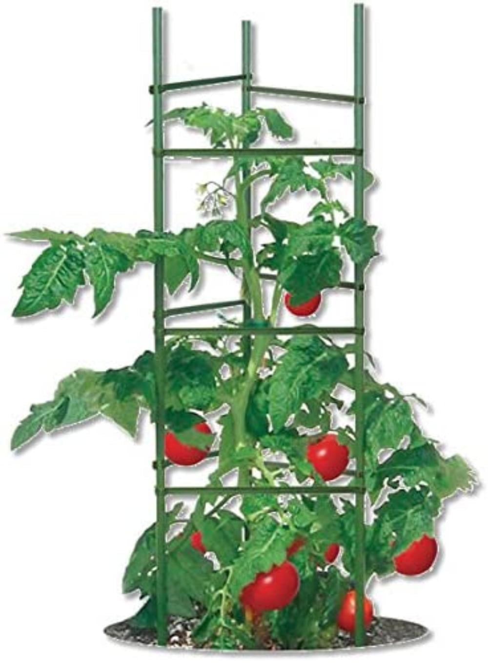 Ultomato TMC60 Plant Cage System Quantity 10, Quantity