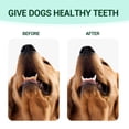 thumbnail image 4 of Xihbxyly Limpiador Dental para Mascotas, Fórmula Natural para Un Aliento Fresco, Elimina Olores y Placa, Promueve La Salud Bucal, Uso Diario Seguro, Fácil Aplicación, Botella de 60 Ml, Refresca El Al, 4 of 7