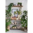 thumbnail image 4 of A&B Home and and Cement Nautilus Shell Planter with Textured Beige Finish - 11.5x6.7x7.7" S, 4 of 10