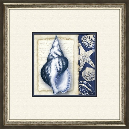 PTM Images Shell A Framed Graphic Art