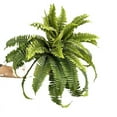 thumbnail image 2 of DefiDgd Faux Ferns Bouquet Home Green Decoration,Faux Plant Shrubs Bushes for Indoor Outside,Basket Planter Decor for Home Garden Office Wedding Decor(B), 2 of 9