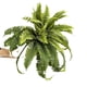 thumbnail image 1 of Apmemiss Artificial Shrubs, Plastic Plants Persian Grass Fern Leaves Fake Bushes Wedding Indoor Outdoor Home Garden Verandah Kitchen Office Table Centerpieces Arrangements Christmas Decoration, 1 of 9