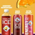 thumbnail image 6 of Sparkling Ice Zero Sugar Flavored Sparkling Water, Fruit Punch Sparkling Water, 17 fl oz Plastic Bottle, Allergens Not Contained, 6 of 6