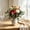 B, variant on Orangide Glass Vase Vintage Style Floral Arrangement Vessel for Dining Table Living Room Home Decor Bedside Shelf for Fresh or Faux Flowers