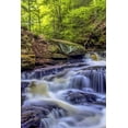 thumbnail image 2 of OBrien, Jay 13x18 Black Ornate Wood Framed with Double Matting Museum Art Print Titled - PA, Benton, Ricketts Glen SP Seneca Falls, 2 of 4