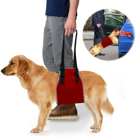 Support Harness - Roadwi Dog Lift Support & Rehabilitation Harness, Oxford and Nylon Pad with Reflective Stitching, Ideal Assist Sling for Dogs Recovering, Recommended (Medium:25-55lbs, Large:55-77lbs)Dogs
