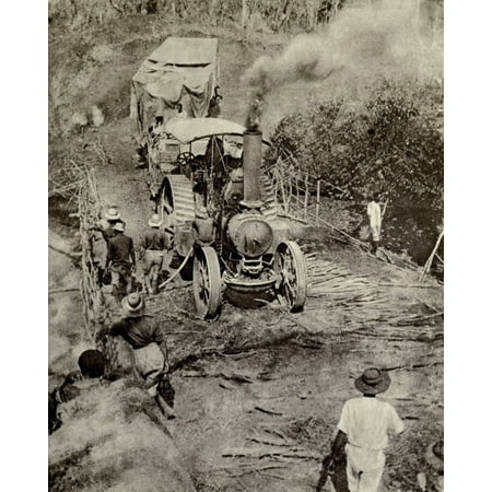 World War 1 In Africa Tractor Pulling An Armed Motor Boat Across A Bridge On Its Way To Lake Tanganyika In Dec 1916 Axe Men Cut Roads Through Miles Of Brush And Seventeen Bridges Over Eighty Feet (Best Way To Cut Brush)