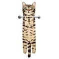 thumbnail image 1 of Toallas de mano AGRIMONY Cat Funny para baño y cocina, 1 of 7
