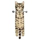 thumbnail image 1 of Toallas de mano AGRIMONY Cat Funny para baño y cocina, 1 of 7