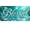 Blessed - 4, variant on Elegant Silver Sun Moon Doodle Mandala Blue License Plate for Car or Truck, Aluminum Front License Plates with 4 Holes, 6×12 inch Decorative Novelty Metal Sign