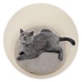 thumbnail image 1 of Cat , Space Cat , Open Cat House for Cats Small Dogs Space Cat Sofa, 1 of 8