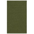 thumbnail image 3 of SAFAVIEH Braided Rishika Solid Area Rug, Green, 3' x 5', 3 of 19