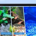thumbnail image 4 of 23.6 inch LED Aquarium Light, Fish Tank Light with Extendable Brackets, Adjustable Brightness, Timing Setting, 4 of 5