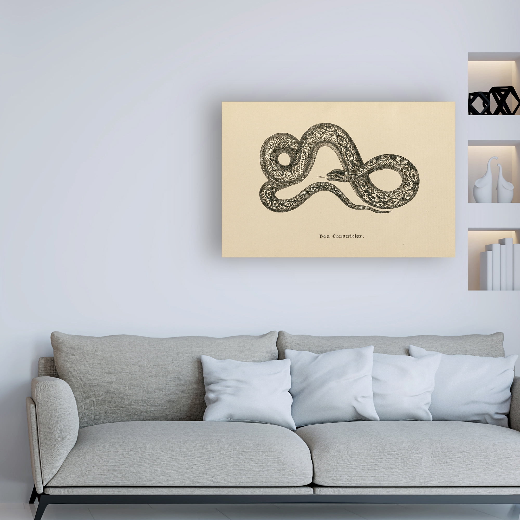 Trademark Fine Art 'Vintage Boa Constrictor' Canvas Art by Wild Apple Portfolio