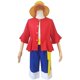 thumbnail image 2 of Mono de una pieza D. Luffy disfraz de cosplay sombreros de paja conjunto de disfraces, 2 of 5