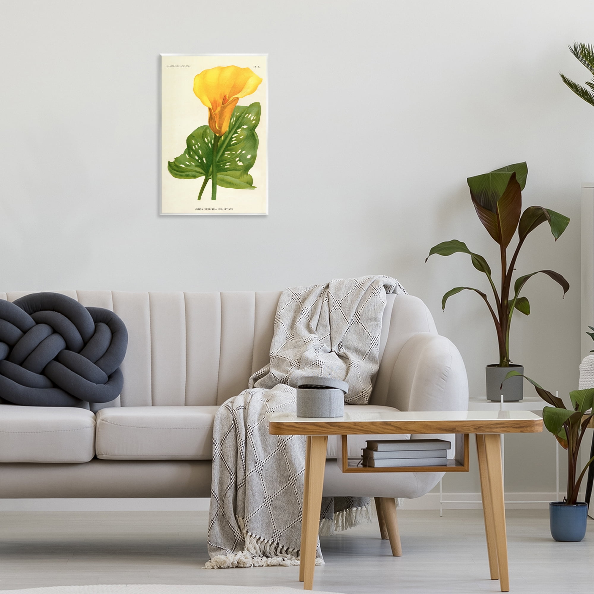 Stupell Industries Yellow Canna Lily Wall Plaque Art, design by Print Collection