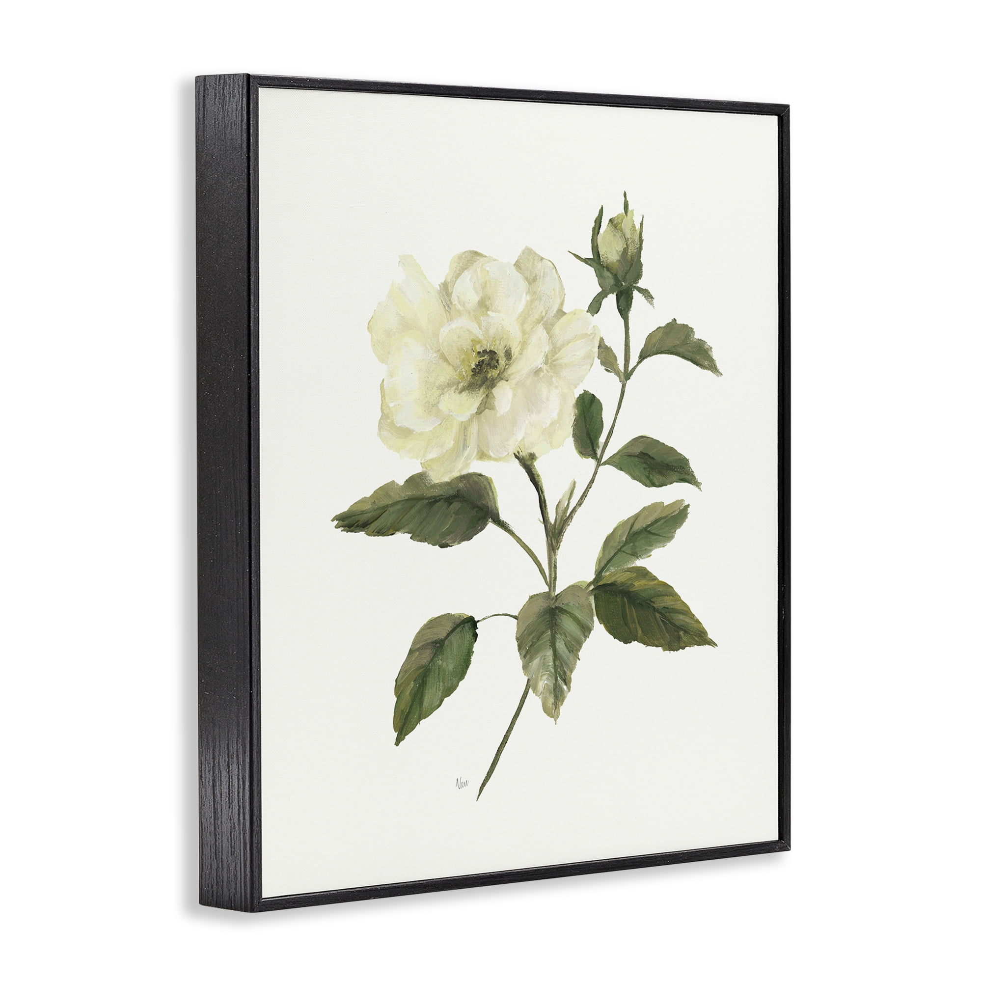 Stupell Industries Ivory Rose Bloom With Green Foliage Black Framed Giclee Art, design by Nan