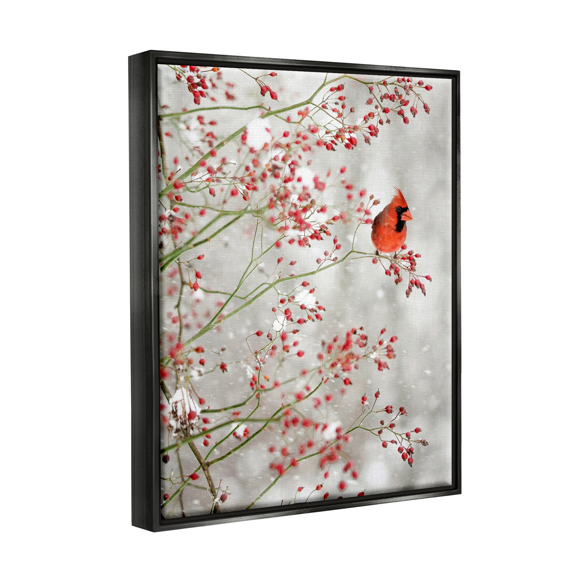 Stupell Industries Cardinal Seasonal Holly Berries Animals & Insects Photography Black Floater Framed Art Print Wall Art, 25 x 31