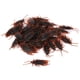 thumbnail image 2 of Regalos De Cucarachas Falsas, Regalos De Fiesta No Fáciles De Romper Cucarachas Falsas, Picnics Interesantes Para El Hogar Mgaxyff Fake Cockroach Toy, 2 of 8