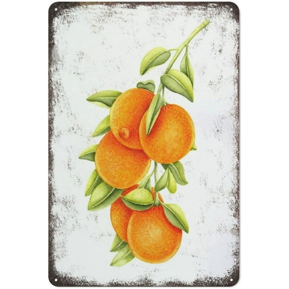 12x16 Inch Oranges On Branch Citrus Fruit Kitchen Decor Fruit Orange Poster Metal Tin Sign Plaque Poster Vintage Wall Room Gift Aluminium Creative Novelty Unique Funny Art Decoration Tin