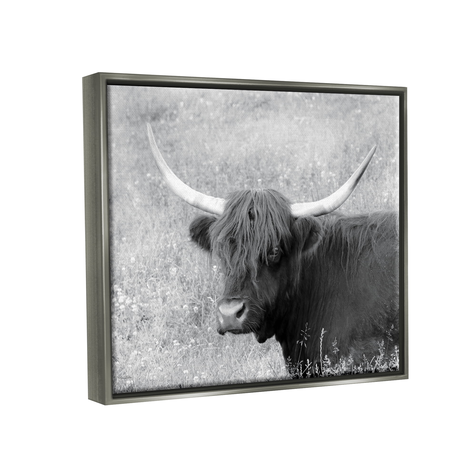 Stupell Farmhouse Cattle Highland Portrait Animals & Insects Photography Gray Floater Framed Art Print Wall Art