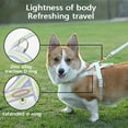 thumbnail image 3 of Adjustable Small Dog Harness Set Fresh Cat Harness Breathe Medium Pet Dog Leash Light Cute Cat Accessories in Summer, 3 of 9