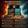 thumbnail image 4 of Organic Shilajit & Irish Sea Moss Capsules Combo with Black Seed Oil, Ashwagandha, Rhodiola, Panax Ginseng - 2 Combo Pack, 4 of 9