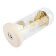 thumbnail image 5 of Preserved Rose Flower LED Rose Flower Gift Preserved Rose Flower Stylish and Modern, 5 of 5