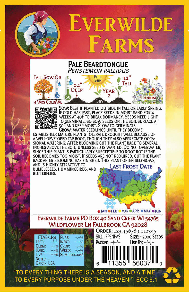 Everwilde Farms - 1 oz Pale Beardtongue Native Wildflower Seeds - Gold Vault Bulk Seed Packet