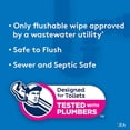 thumbnail image 3 of Toallitas desechables Cottonelle 504 unidades, 3 of 5