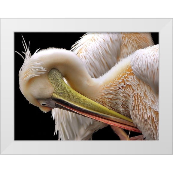 Dufour, Thierry 14x12 White Modern Wood Framed Museum Art Print Titled - Toileting...