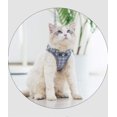 thumbnail image 4 of Conjunto de arnés y correa para gatos y cachorros, arneses ajustables para perros pequeños al aire libre de malla a cuadros, seguridad a prueba de escape, chaleco reflectante para perros, 4 of 8