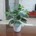 thumbnail image 6 of Shenmeida 3Pcs Artificial Plants Fake Greenery Arrangement Leaf for Garden Wedding Home Outdoors Decorations, 6 of 7