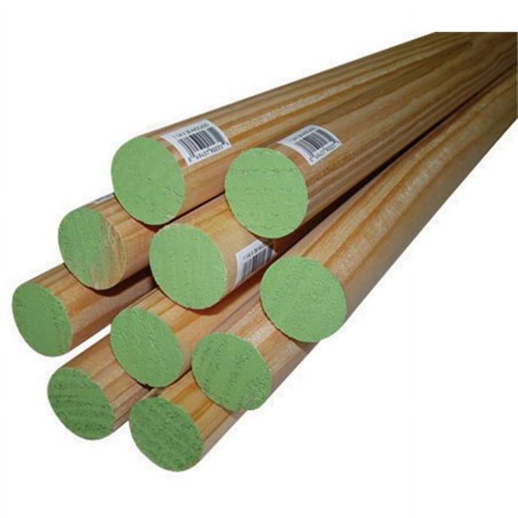 Alexandria Moulding 02541-R0036C1 1.25 x 36 in. Thunderbird Forest Poplar Dowels Hardwood Light Green - pack of 4